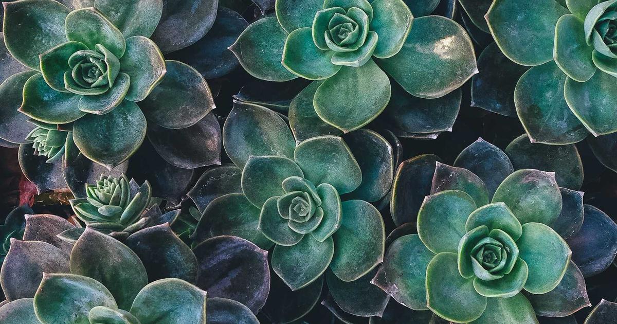 Low-Cost AI Prompts, Agents, and Skills: A Marketer’s Guide to Doing More for Less